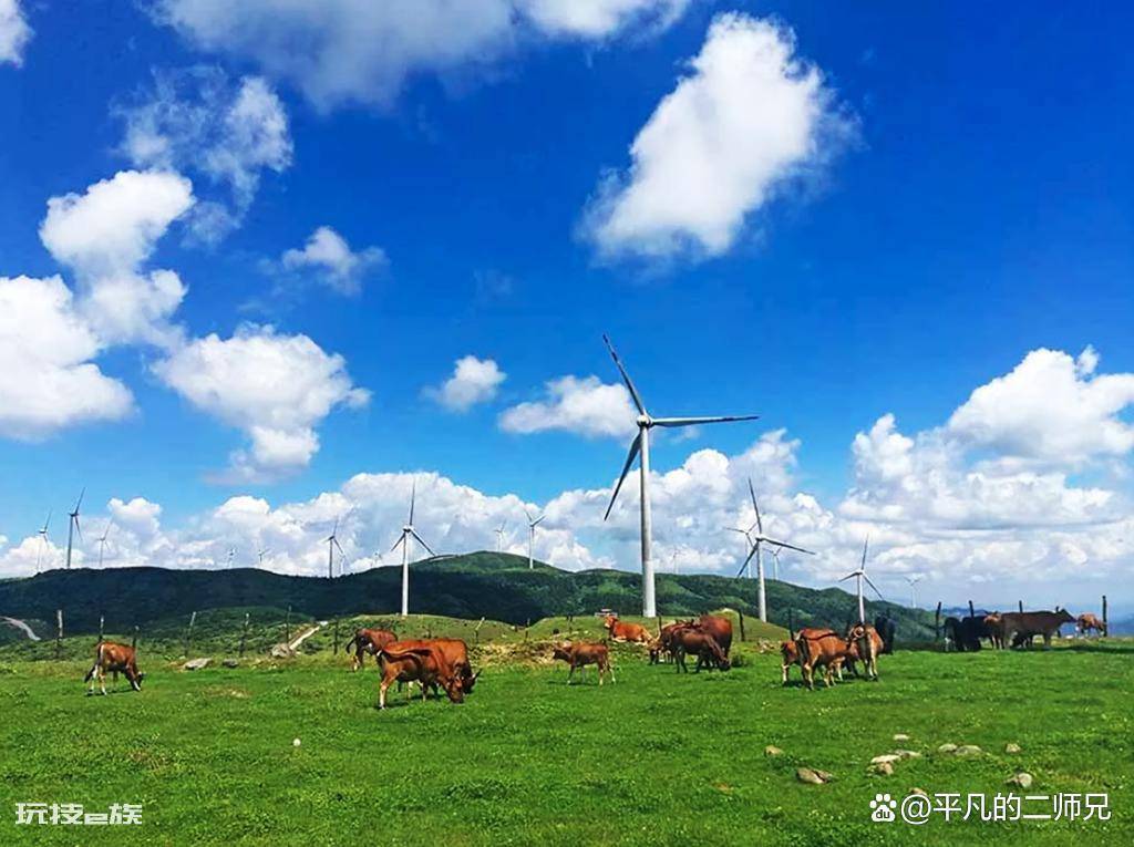 乌鲁木齐旅游攻略景点必去(乌鲁木齐最值得游玩的七个地方)-图片7